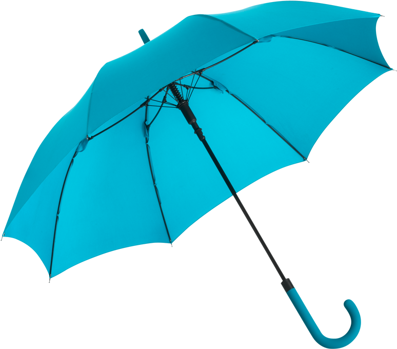 Professional Clipping Path Service